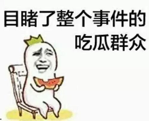 icon吃瓜群众,揭秘网络红人的幕后故事