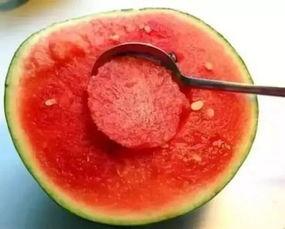 双倍珍珠快乐吃瓜视频,揭秘网红美食背后的故事