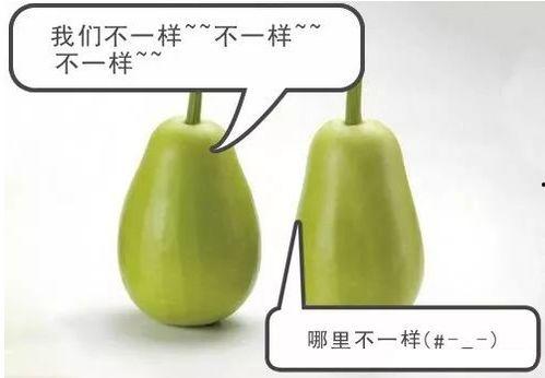 安于心吃瓜,揭秘美食与心灵的和谐共鸣