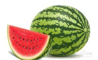 尿酸高吃籽瓜好吗,籽瓜——天然降尿酸佳品