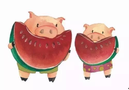 猪吃瓜的梗,笑料横生！