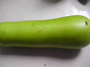 小狗吃葫芦瓜好吗,小狗食用葫芦瓜的安全性探讨