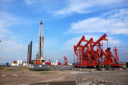 天津大港油田吃瓜,瓜田里的油田传奇